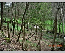 dscn2840.jpg