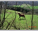 dscn2841.jpg