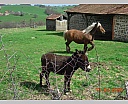 dscn2843.jpg
