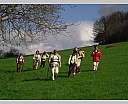 dscn2887.jpg