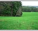 dscn2907.jpg
