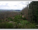 dscn2908.jpg
