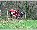 dscn2913.jpg
