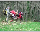 dscn2914.jpg