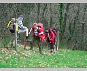 dscn2917.jpg
