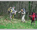 dscn2922.jpg