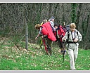 dscn2925.jpg
