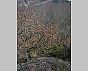 dscn2954.jpg