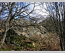dscn2956.jpg