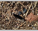 dscn2963.jpg