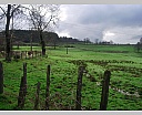 dscn2981.jpg