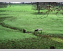 dscn2983.jpg