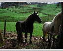 dscn2984.jpg
