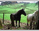 dscn2985.jpg