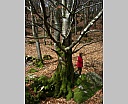 dscn2989.jpg