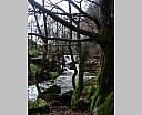 dscn2990.jpg
