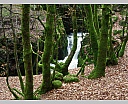 dscn2991.jpg