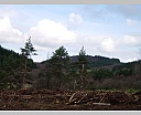 dscn2992.jpg
