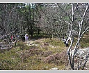 dscn3002.jpg