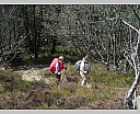 dscn3003.jpg