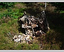 dscn3007.jpg