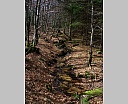 dscn3009.jpg