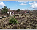 dscn3013.jpg
