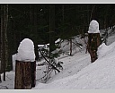 dscn2375.jpg