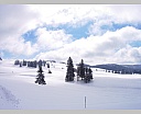 dscn2498.jpg