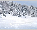 dscn2499g.jpg
