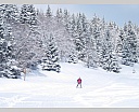 dscn2500g.jpg