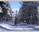 dscn2503.jpg
