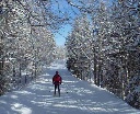 dscn2504