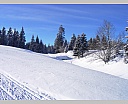 dscn2511.jpg