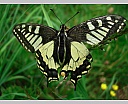 dscn3908.jpg