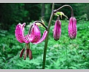 dscn3909.jpg