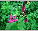 dscn3910.jpg