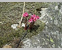 dscn3912.jpg