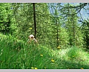 dscn3913.jpg