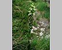 dscn3917.jpg