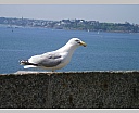 dscn3574.jpg