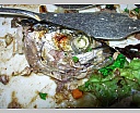 dscn3608.jpg