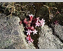 dscn3623.jpg