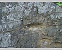 dscn3628.jpg
