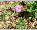 dscn3715.jpg