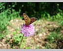 dscn3720.jpg