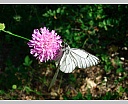 dscn3723.jpg