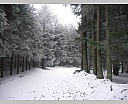 dscn2384.jpg