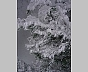 dscn2389.jpg