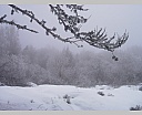 dscn2395.jpg